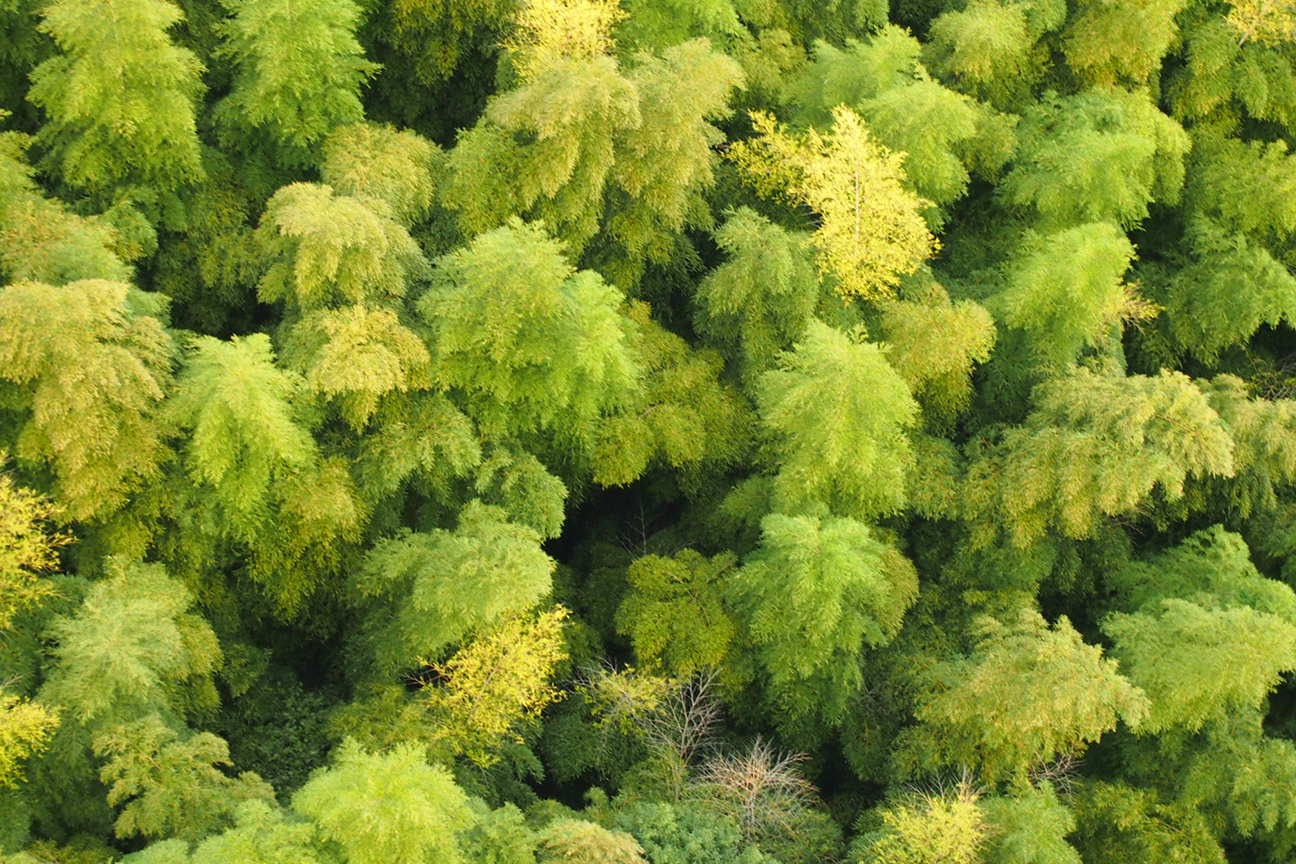 По островам внутреннего моря