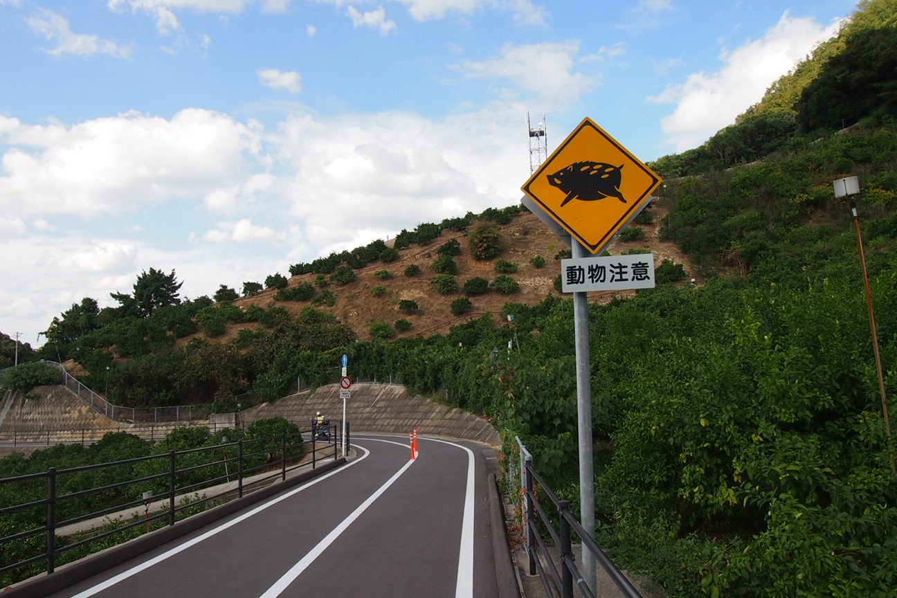 По островам внутреннего моря