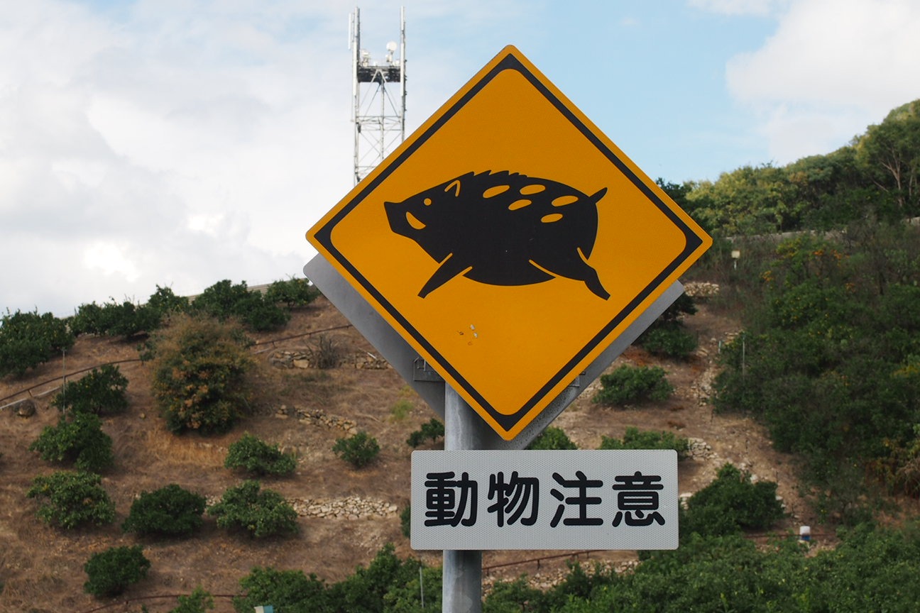 По островам внутреннего моря