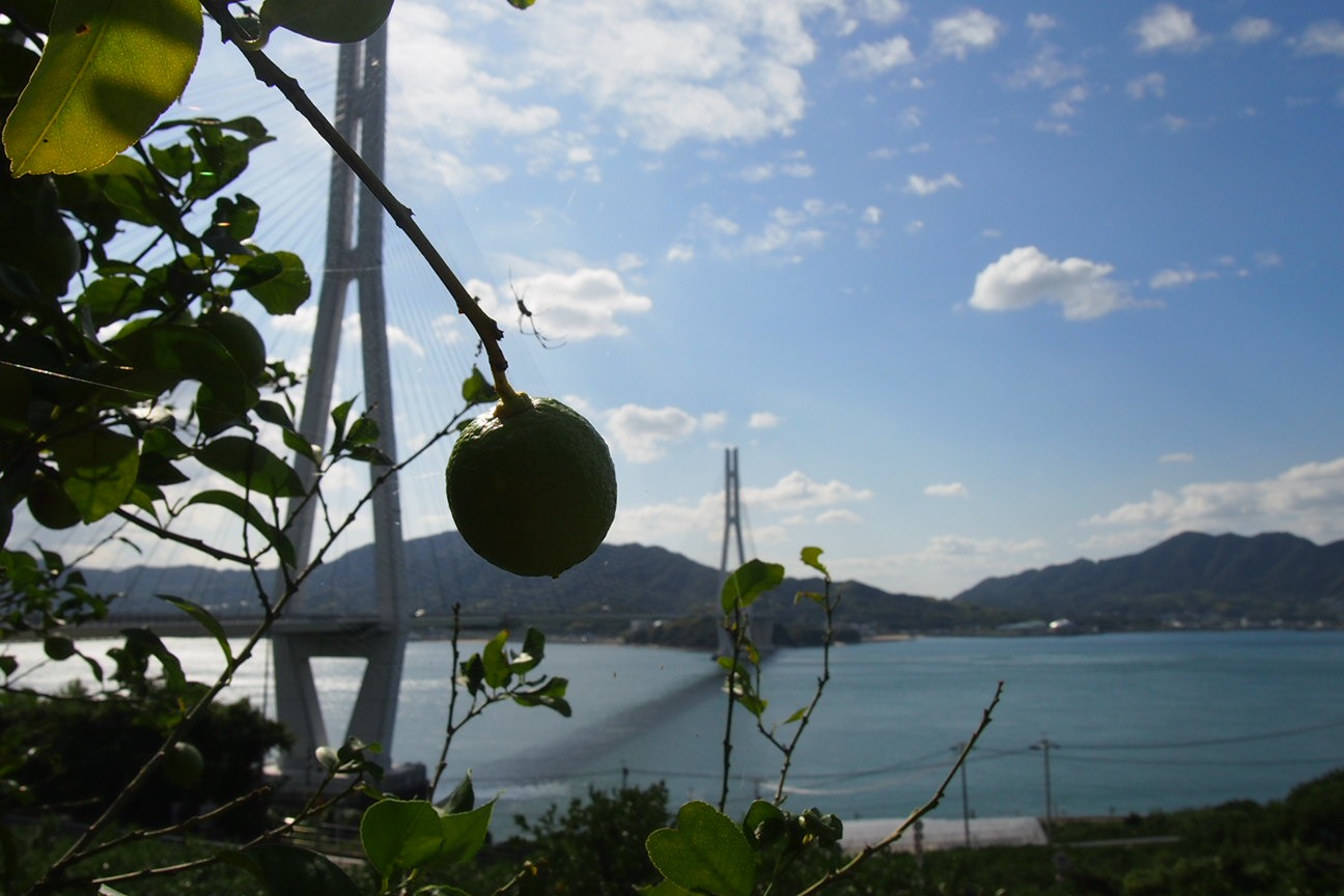 По островам внутреннего моря