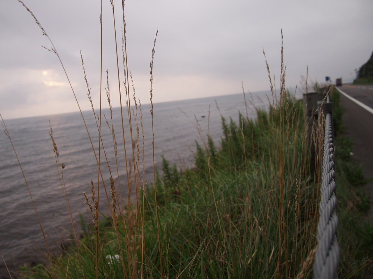 Скажи мне "нет", детка с гастровставками. Незаконченный пост про ночной переезд