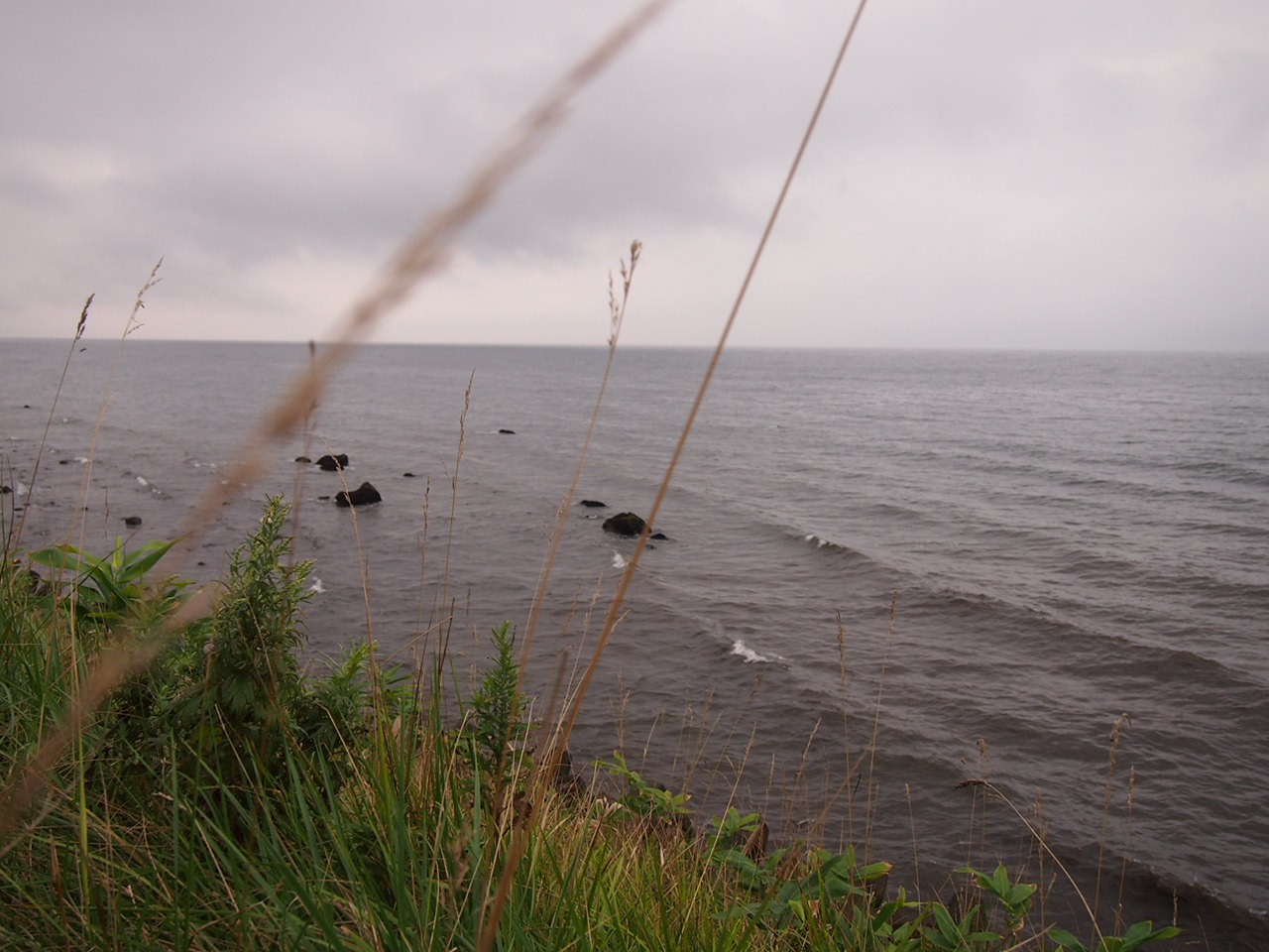 Скажи мне "нет", детка с гастровставками. Незаконченный пост про ночной переезд