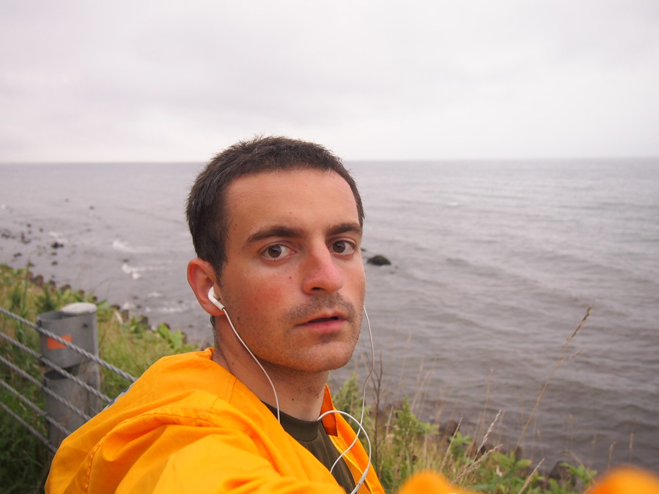 Скажи мне "нет", детка с гастровставками. Незаконченный пост про ночной переезд