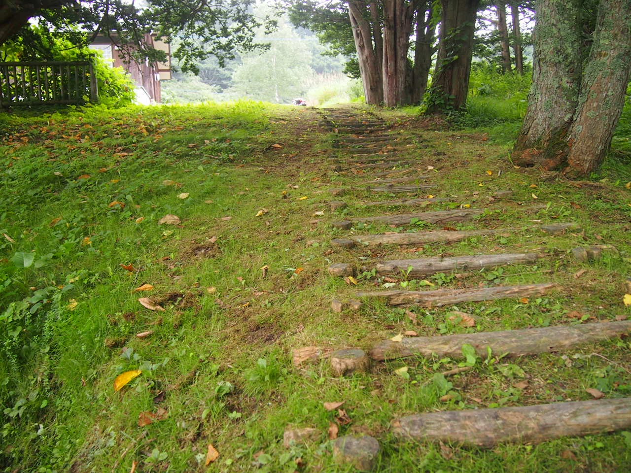 Скажи мне "нет", детка с гастровставками. Незаконченный пост про ночной переезд