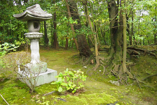 Киото и парк с извращенцем