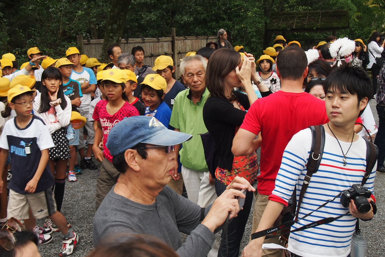 Киото и парк с извращенцем