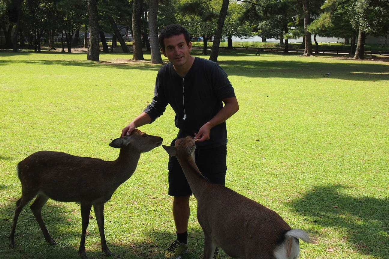 Когда все как по маслу. Из Киото в Осаку