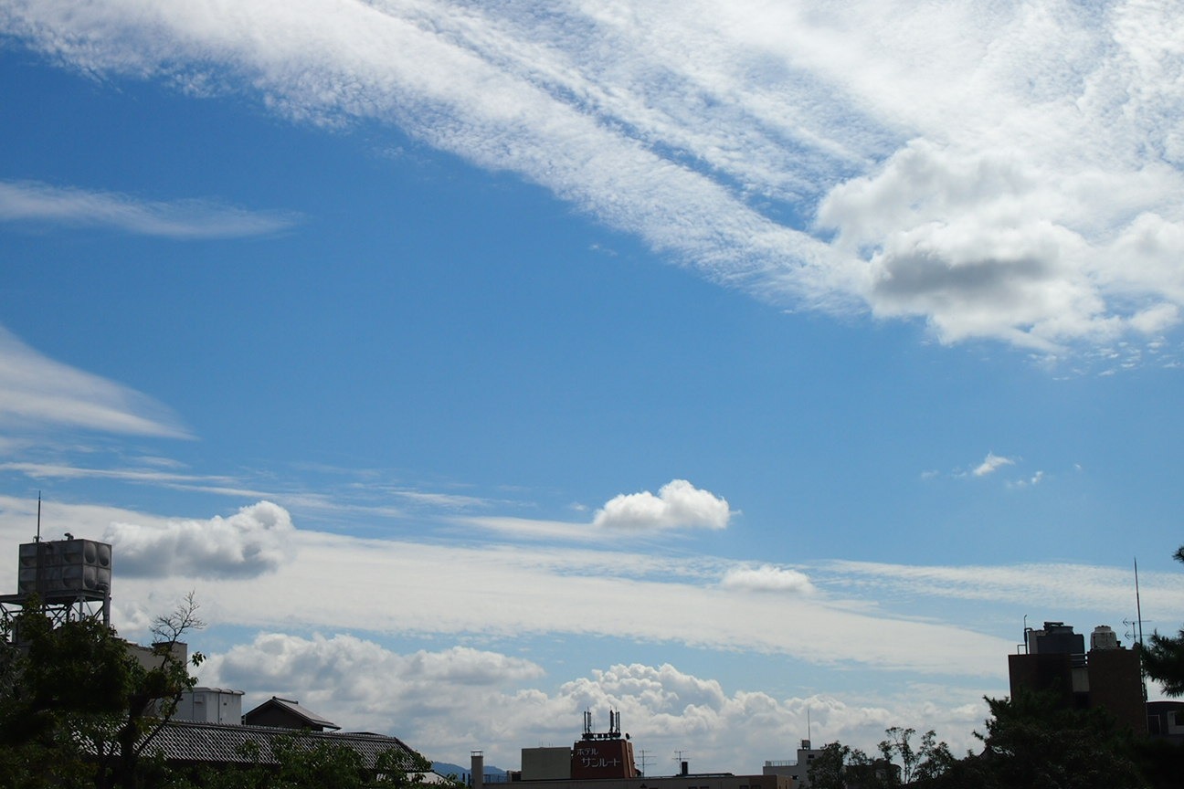 Когда все как по маслу. Из Киото в Осаку