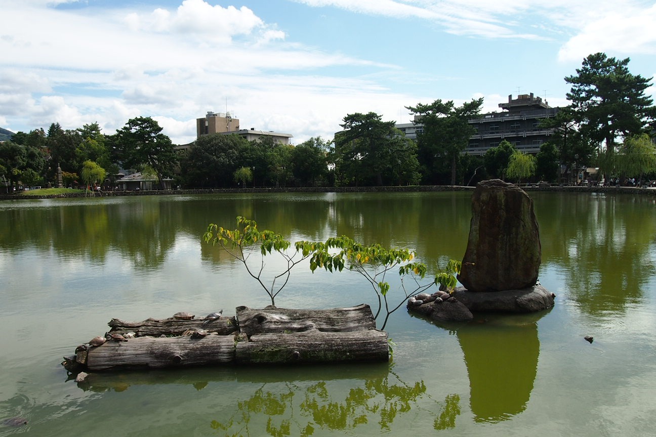 Когда все как по маслу. Из Киото в Осаку