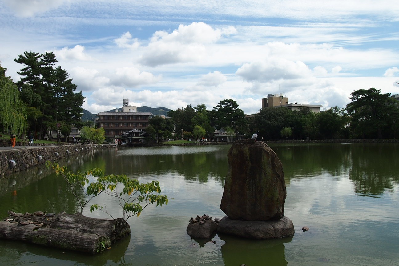 Когда все как по маслу. Из Киото в Осаку