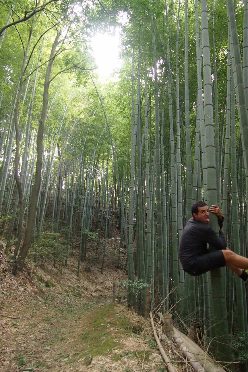 Когда все как по маслу. Из Киото в Осаку