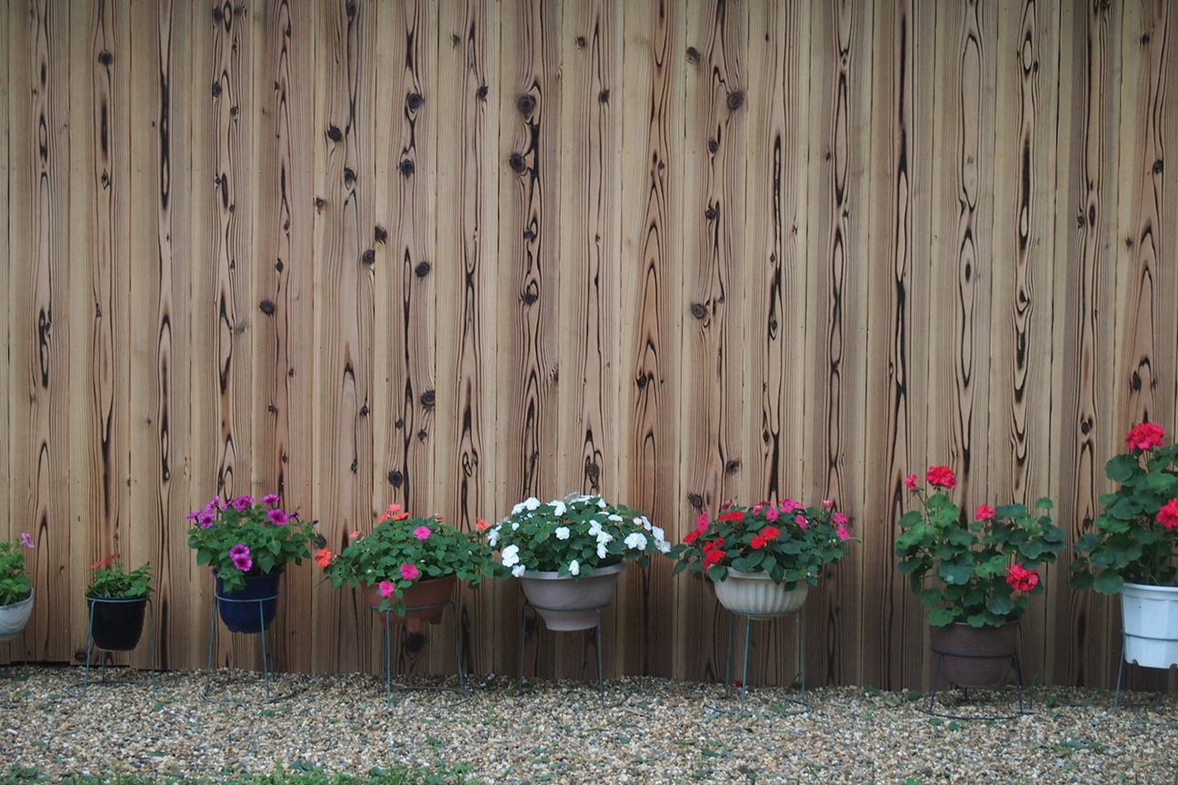 Когда все как по маслу. Из Киото в Осаку