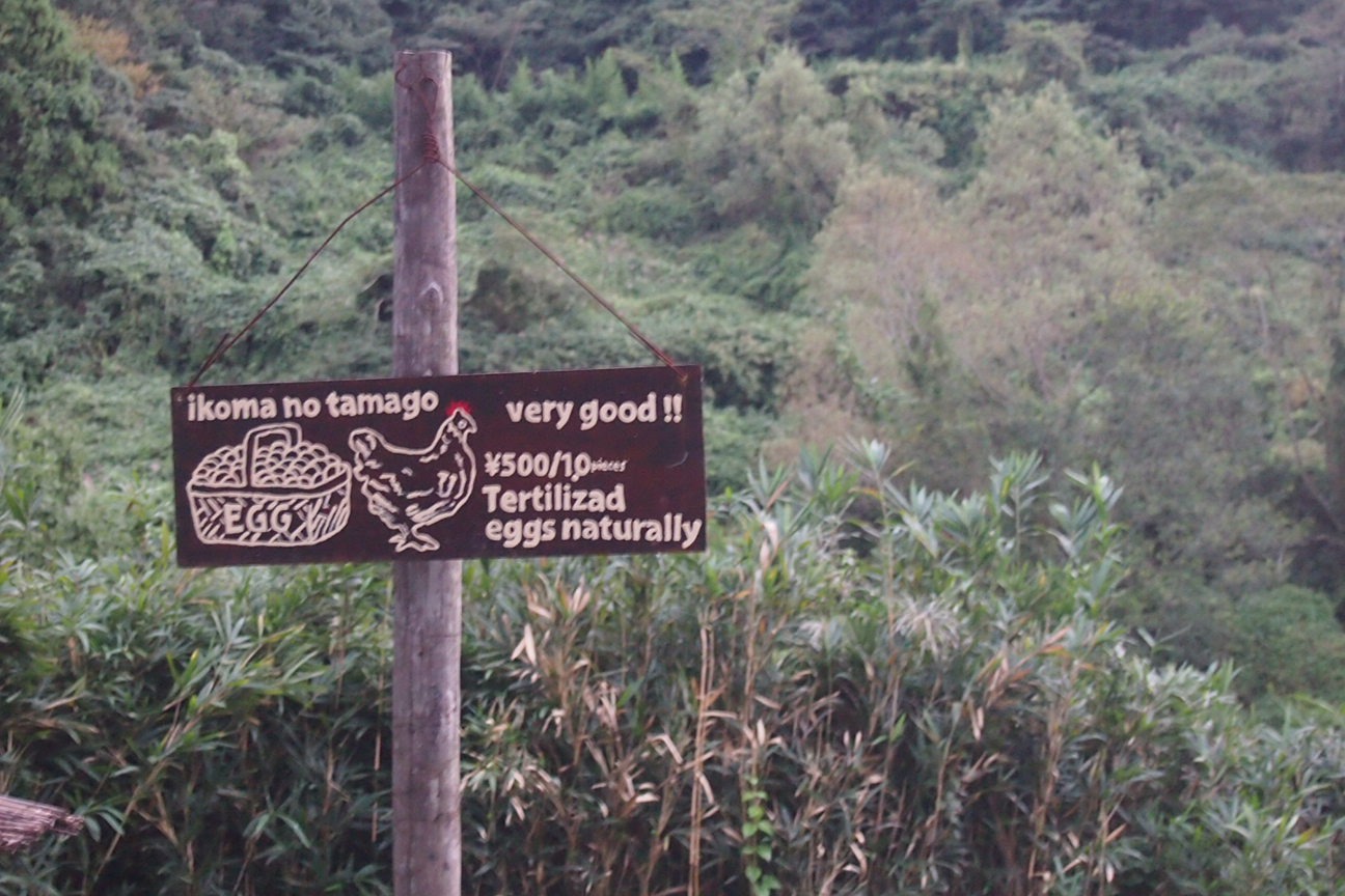 Когда все как по маслу. Из Киото в Осаку