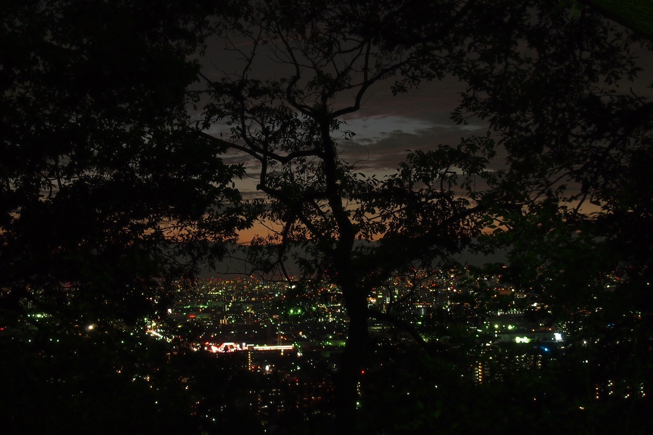 Когда все как по маслу. Из Киото в Осаку