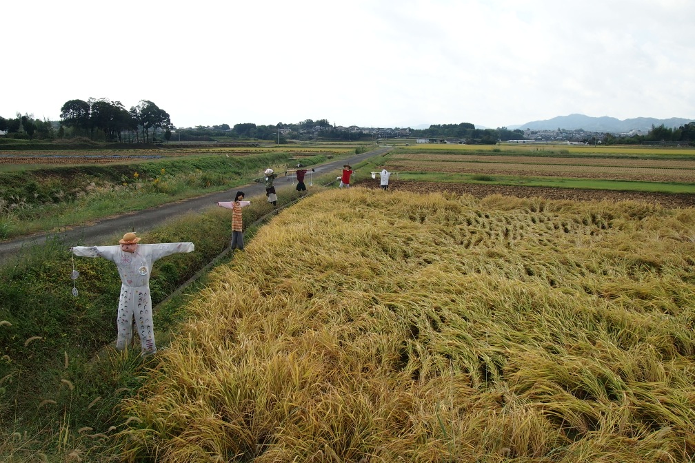 Последний подъем