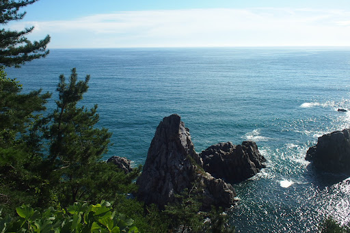 Третья встреча с полицией, обыск. Побережье океана