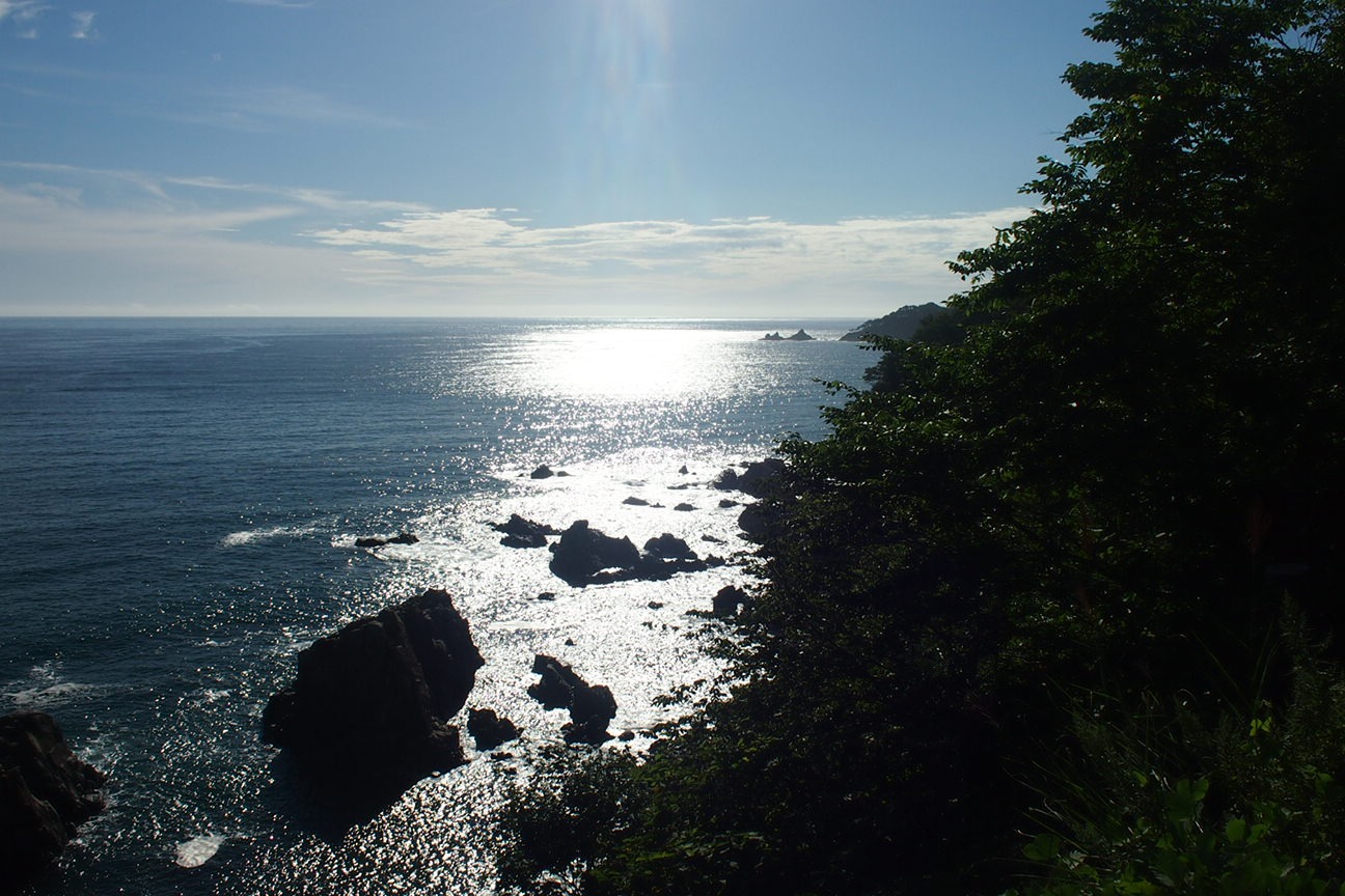 Третья встреча с полицией, обыск. Побережье океана