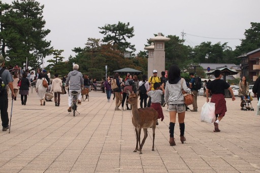 Японский бог или религия в Японии