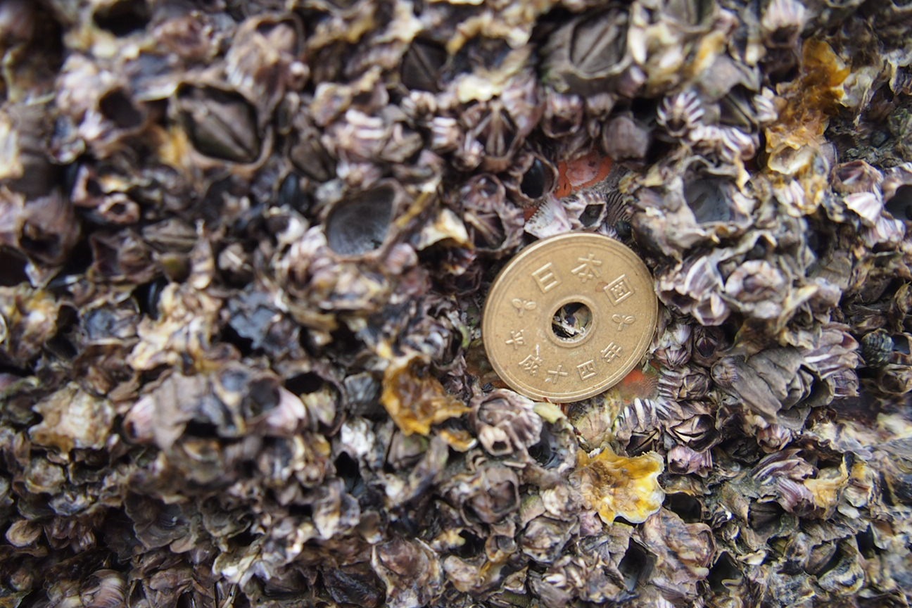 Японский бог или религия в Японии