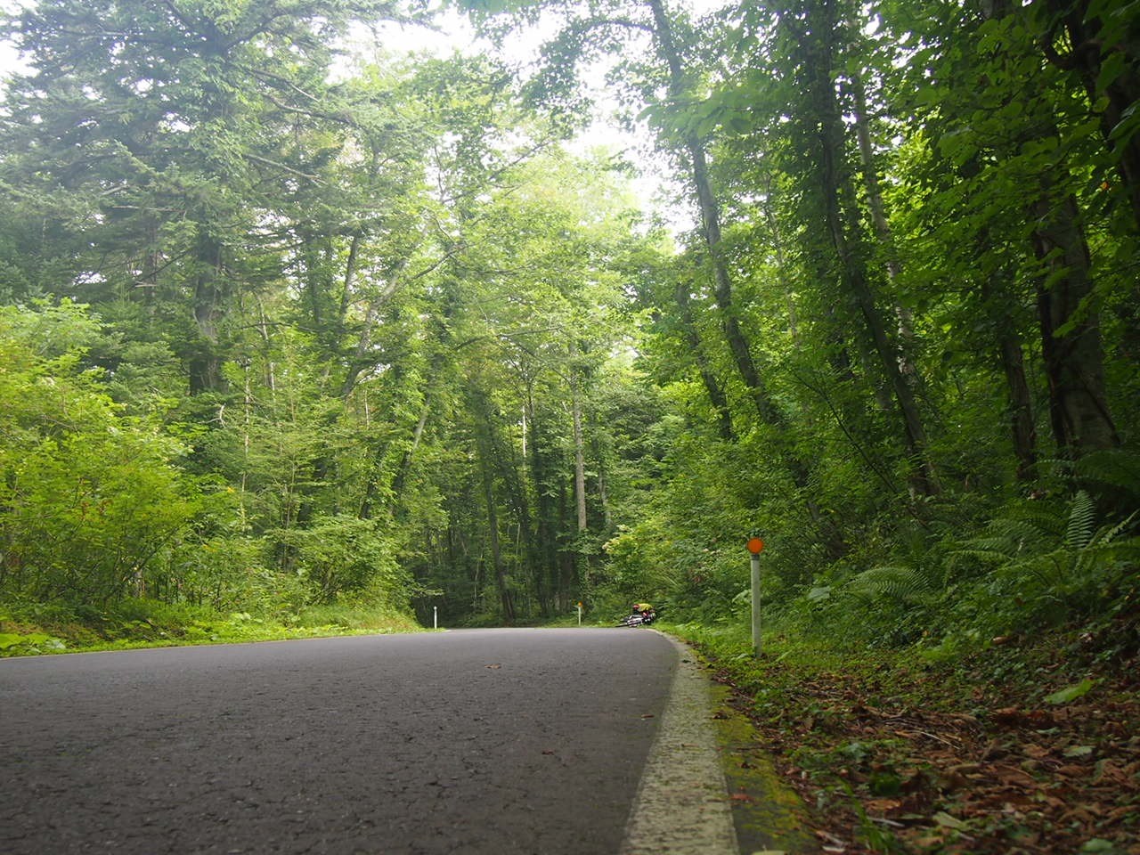 Разжиревший самурай снова в пути. Землетрясение