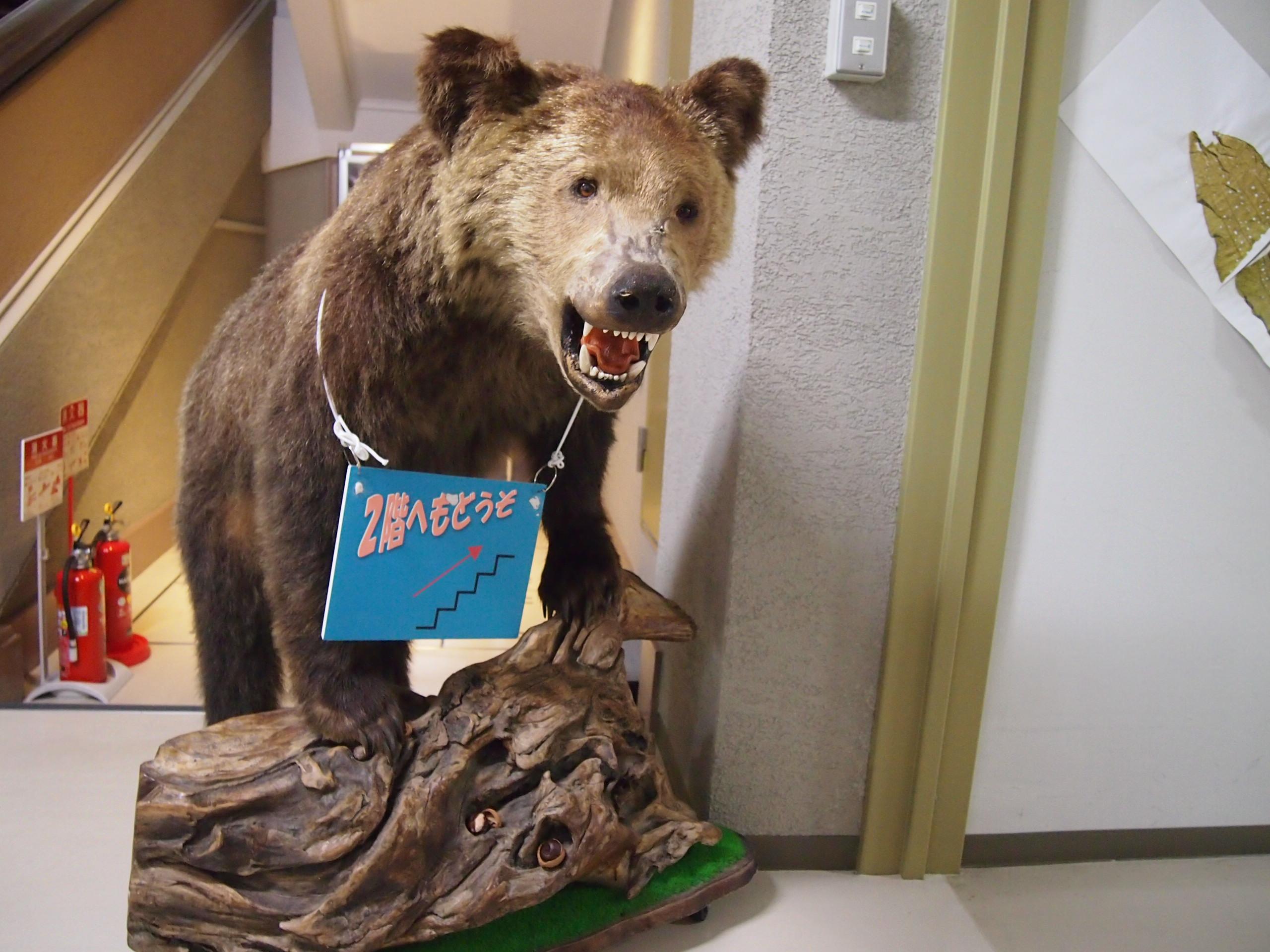 "Саппоро, я люблю тебя"