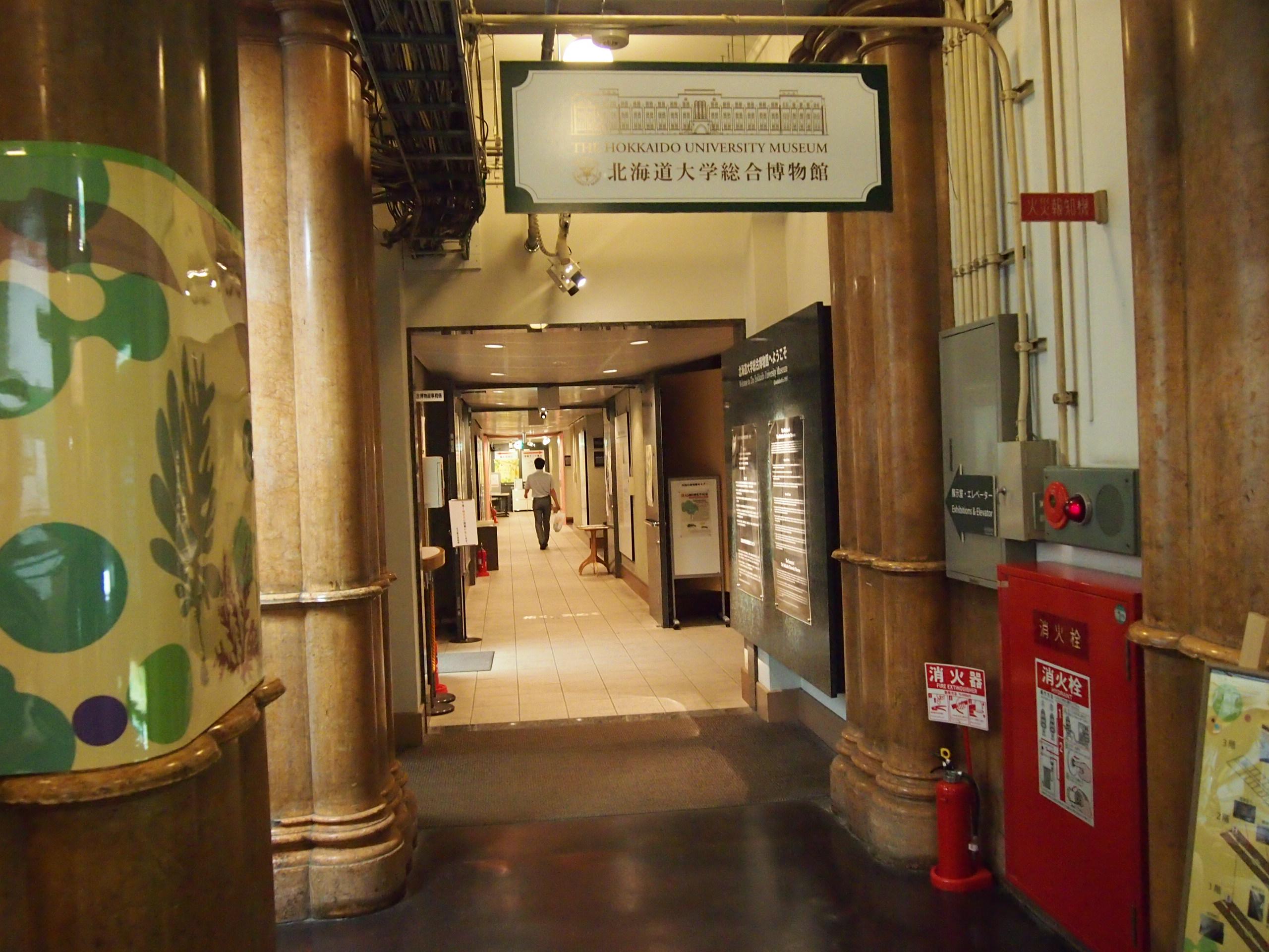 "Саппоро, я люблю тебя"