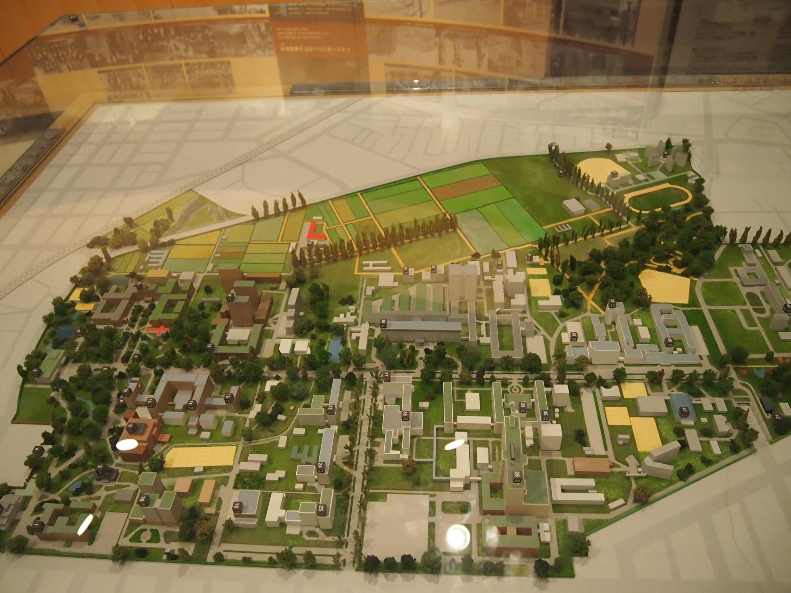 "Саппоро, я люблю тебя"