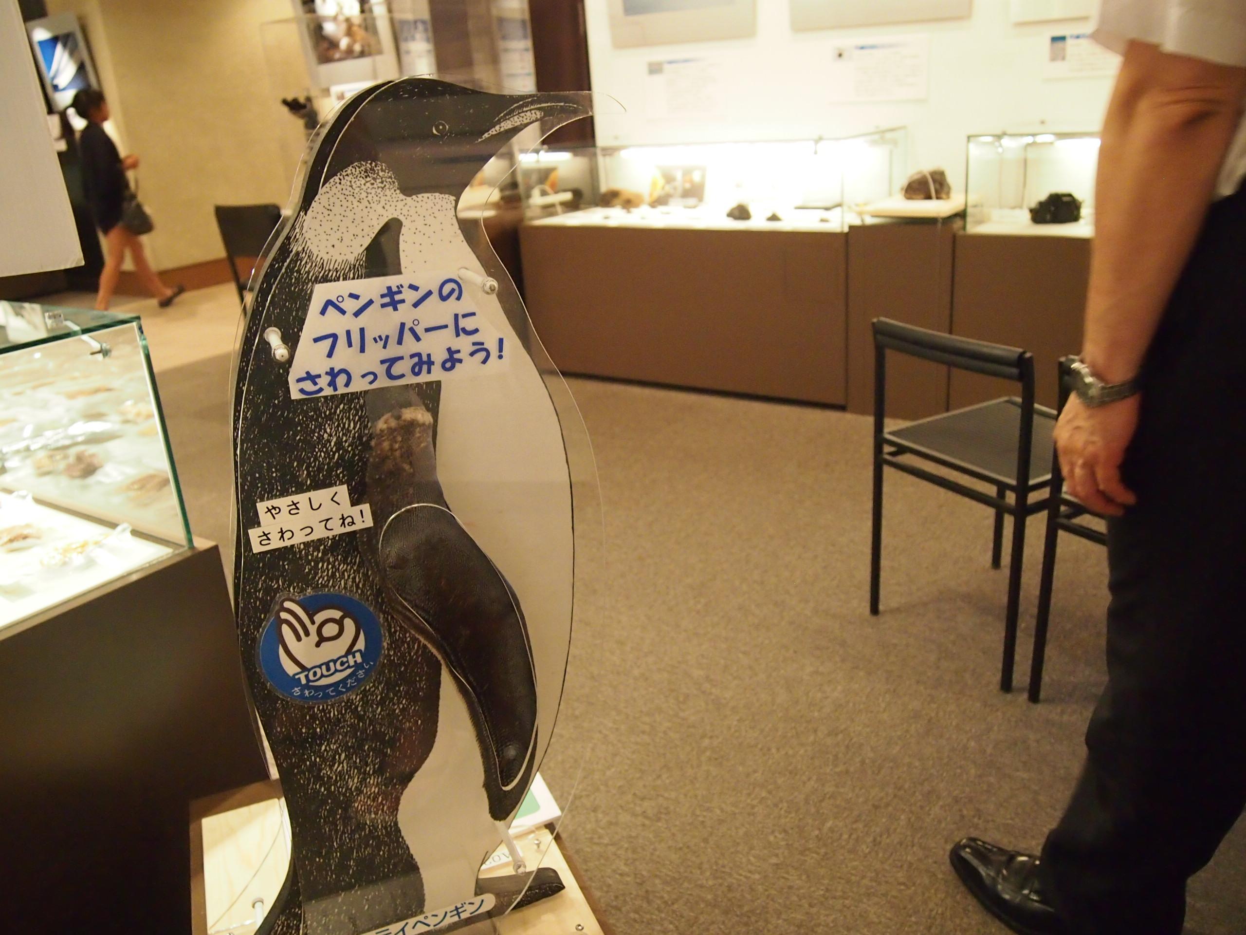 "Саппоро, я люблю тебя"