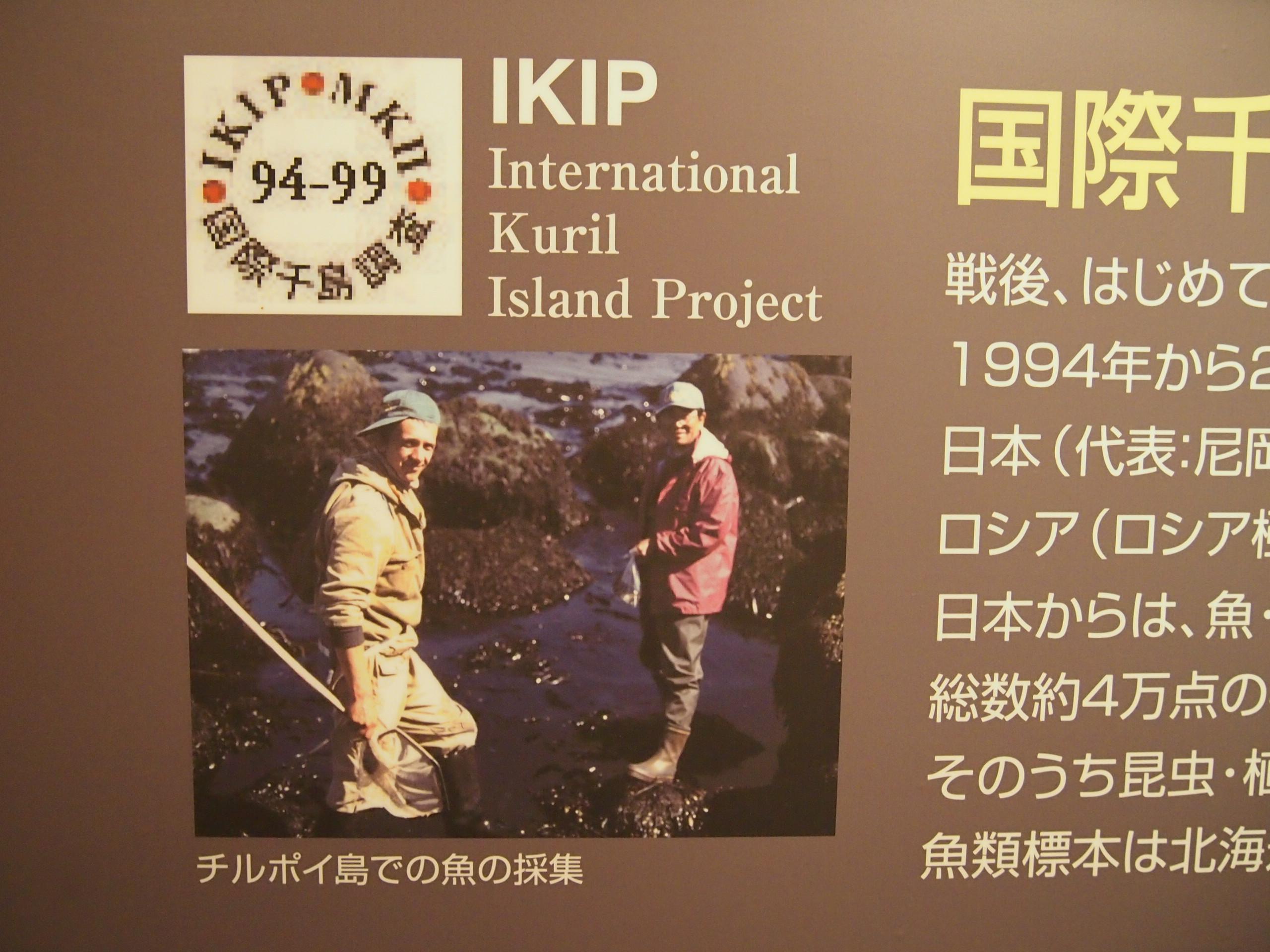 "Саппоро, я люблю тебя"