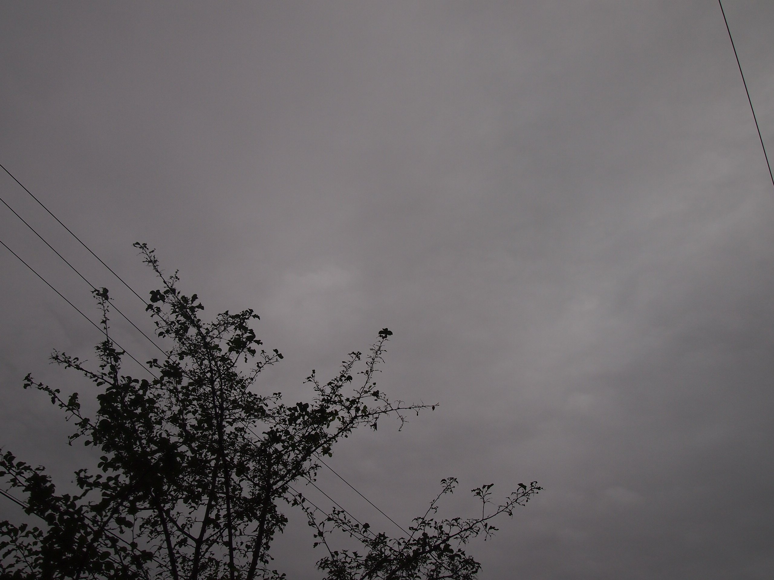 "Саппоро, я люблю тебя"