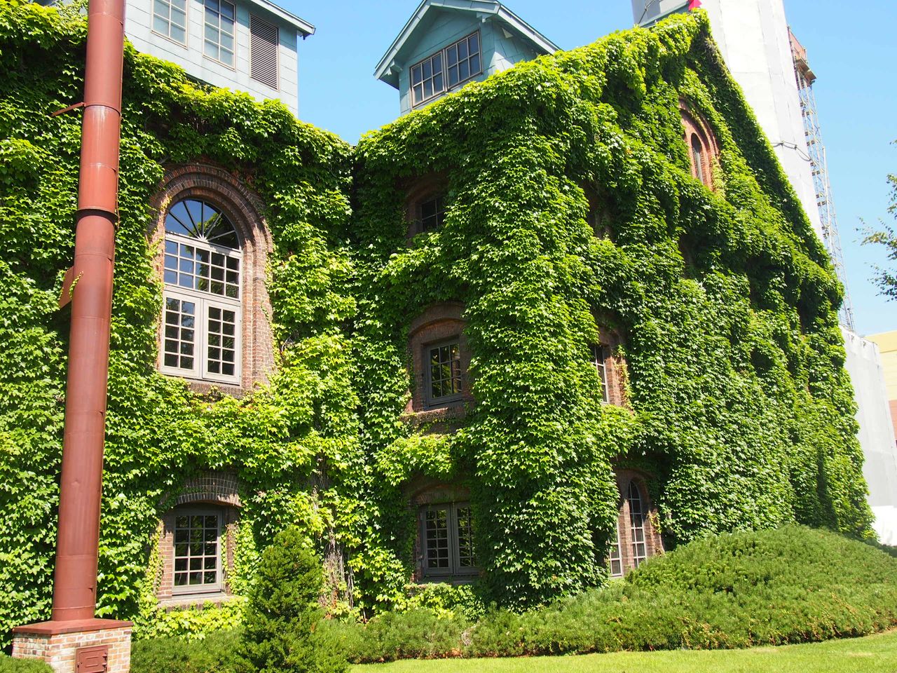 Зарисовка Саппоро