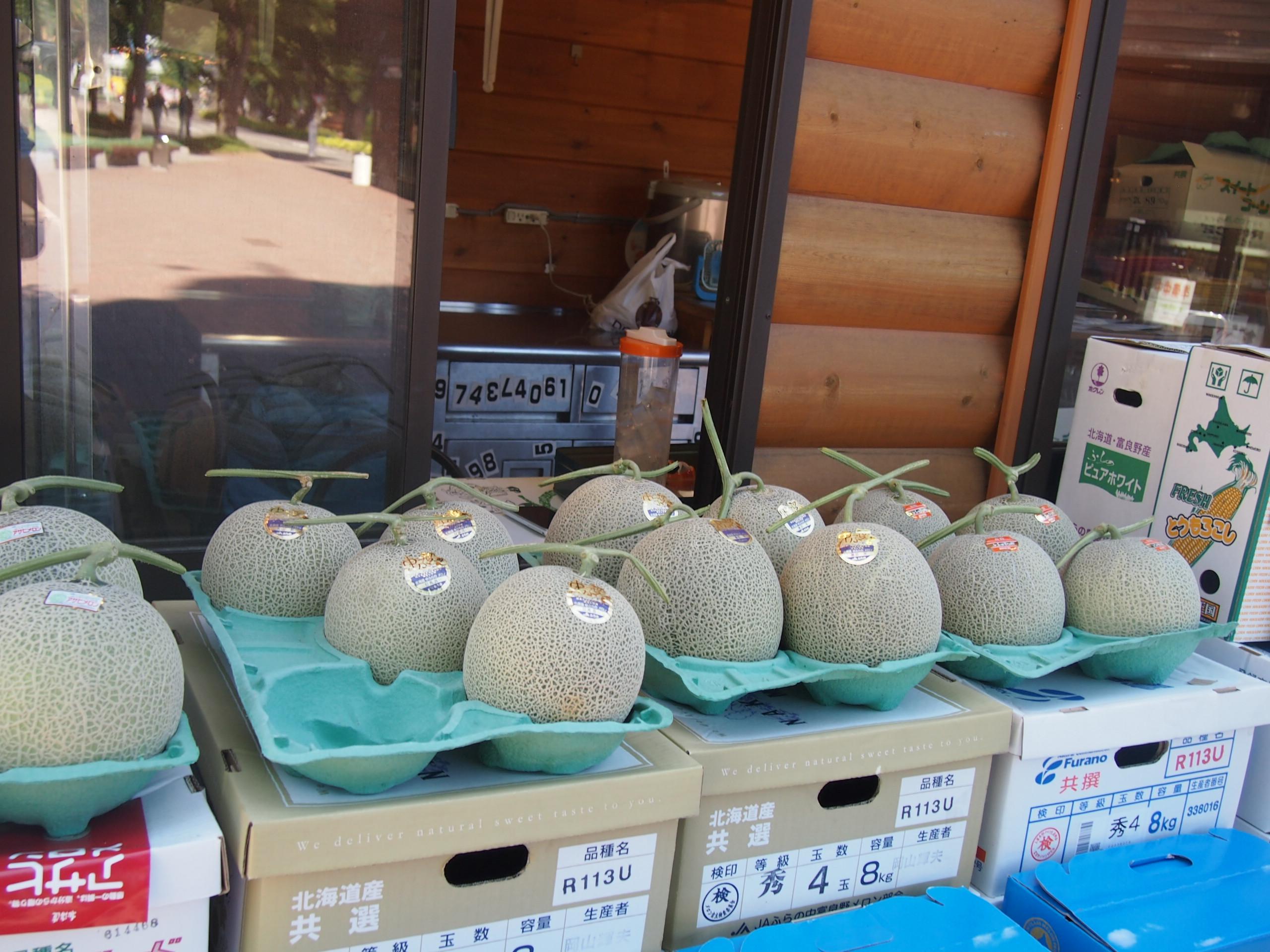 Зарисовка Саппоро