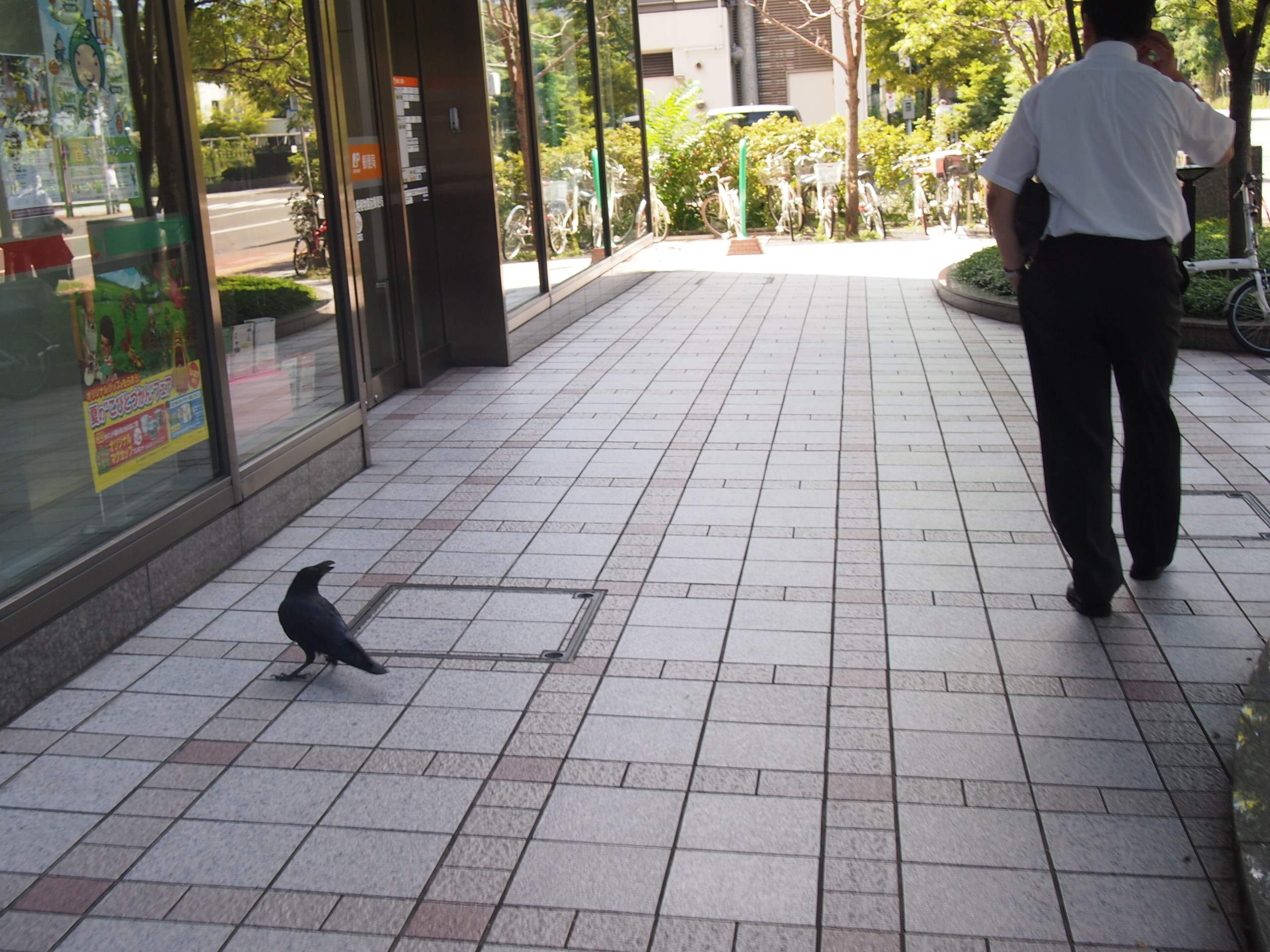 Зарисовка Саппоро