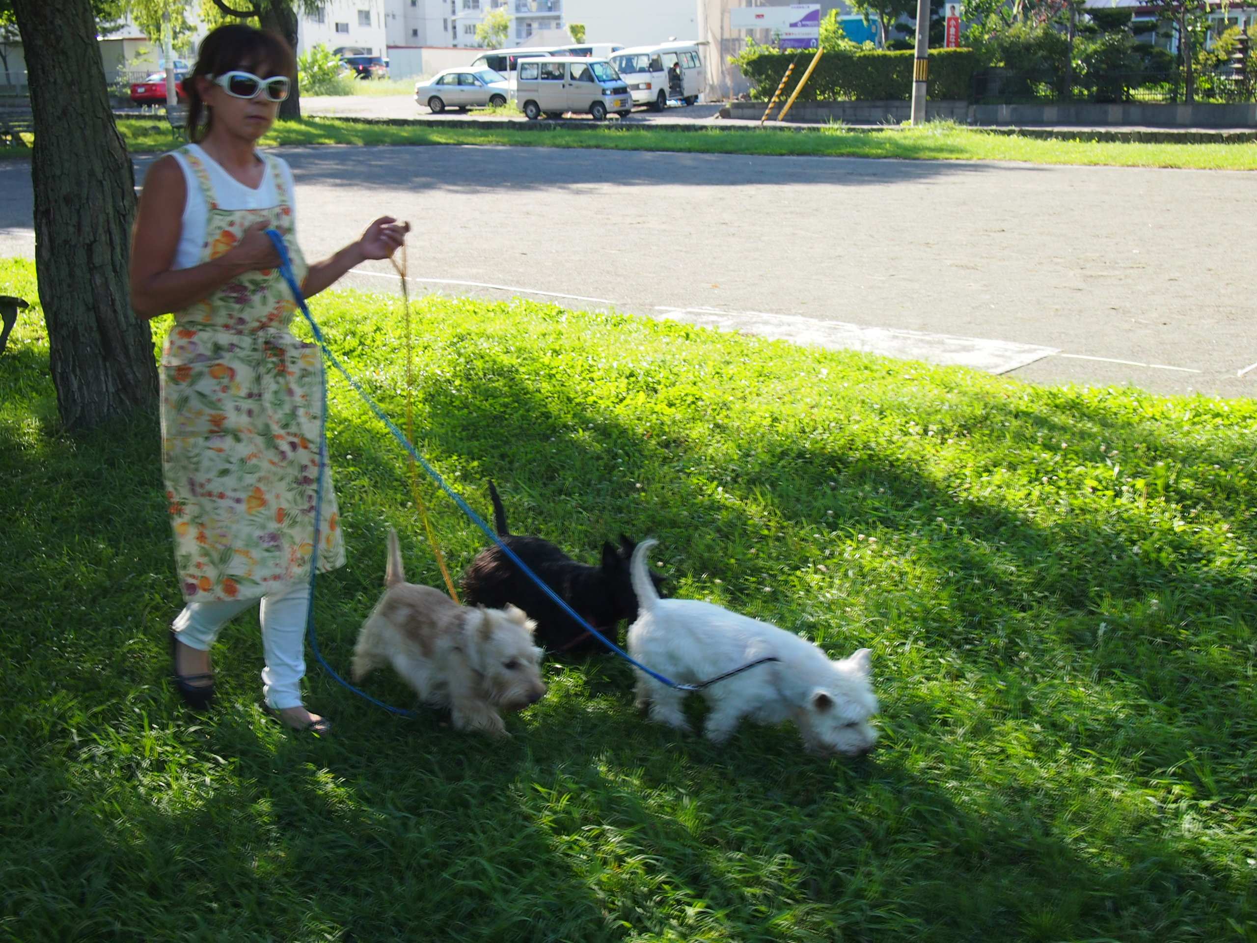 Зарисовка Саппоро