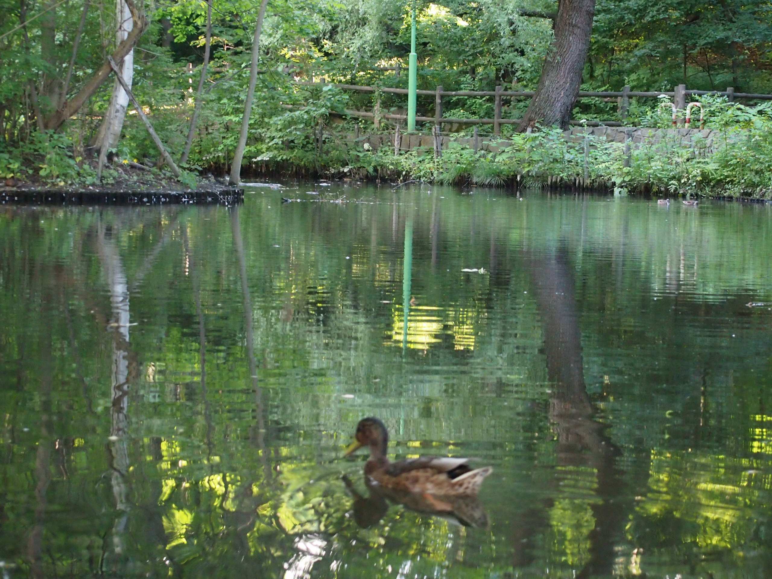 Зарисовка Саппоро