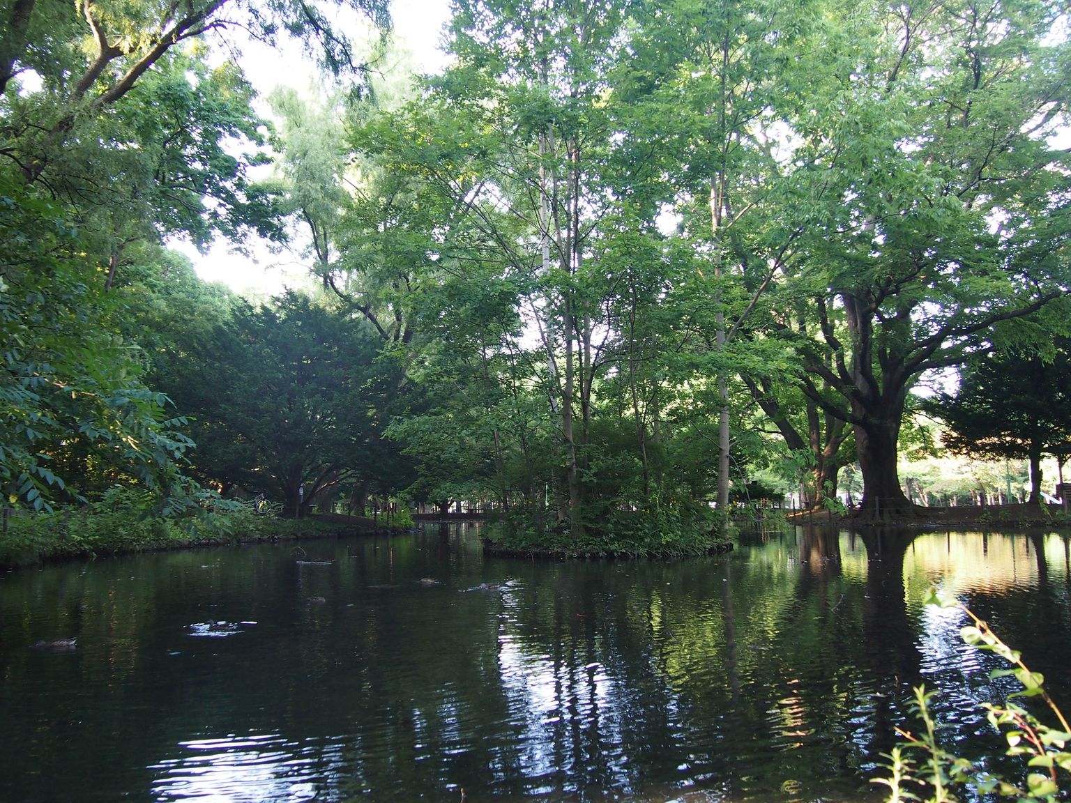 Зарисовка Саппоро