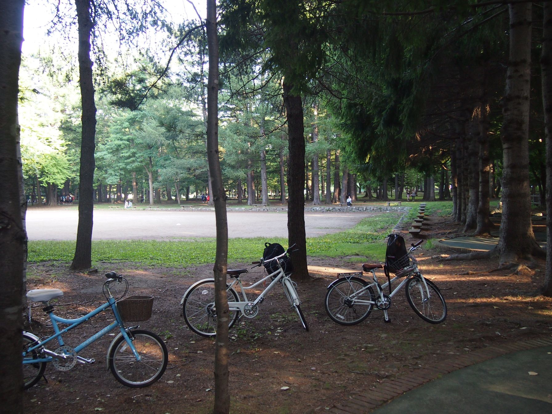 Зарисовка Саппоро