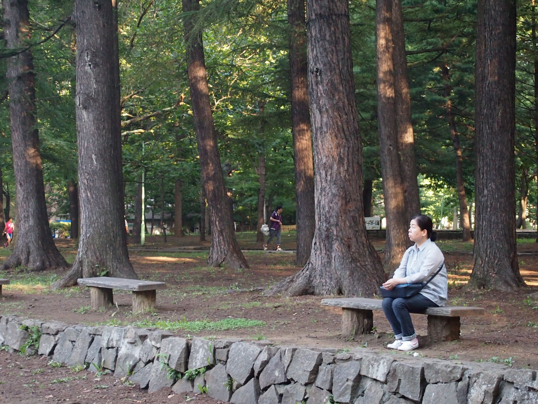 Зарисовка Саппоро