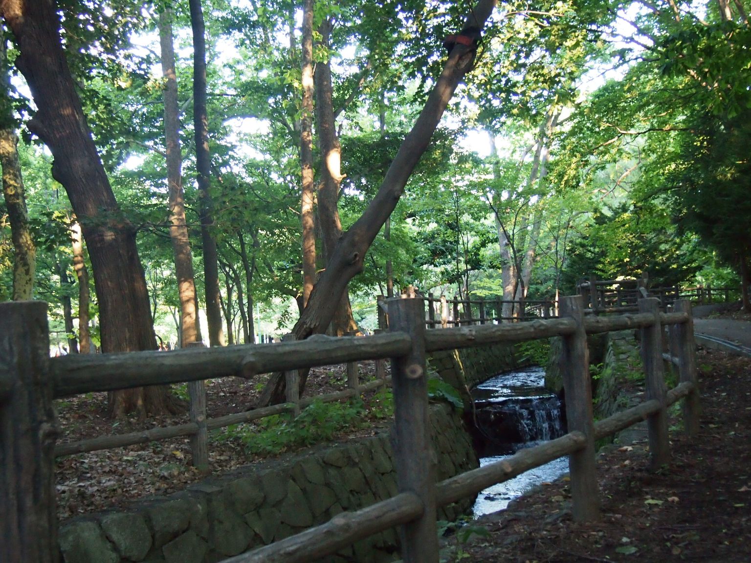 Зарисовка Саппоро