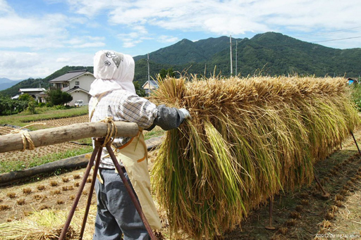 Смена времен года