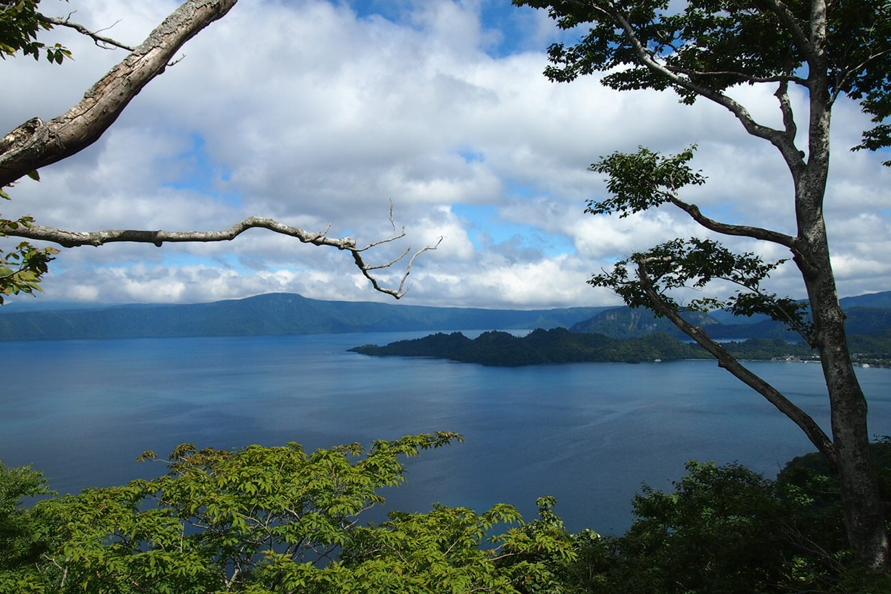 Звездочет, Зона Цунами