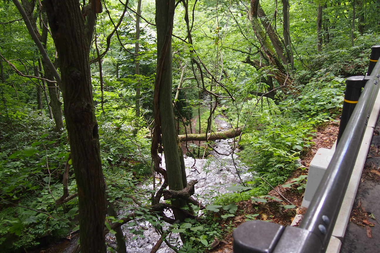 Звездочет, Зона Цунами