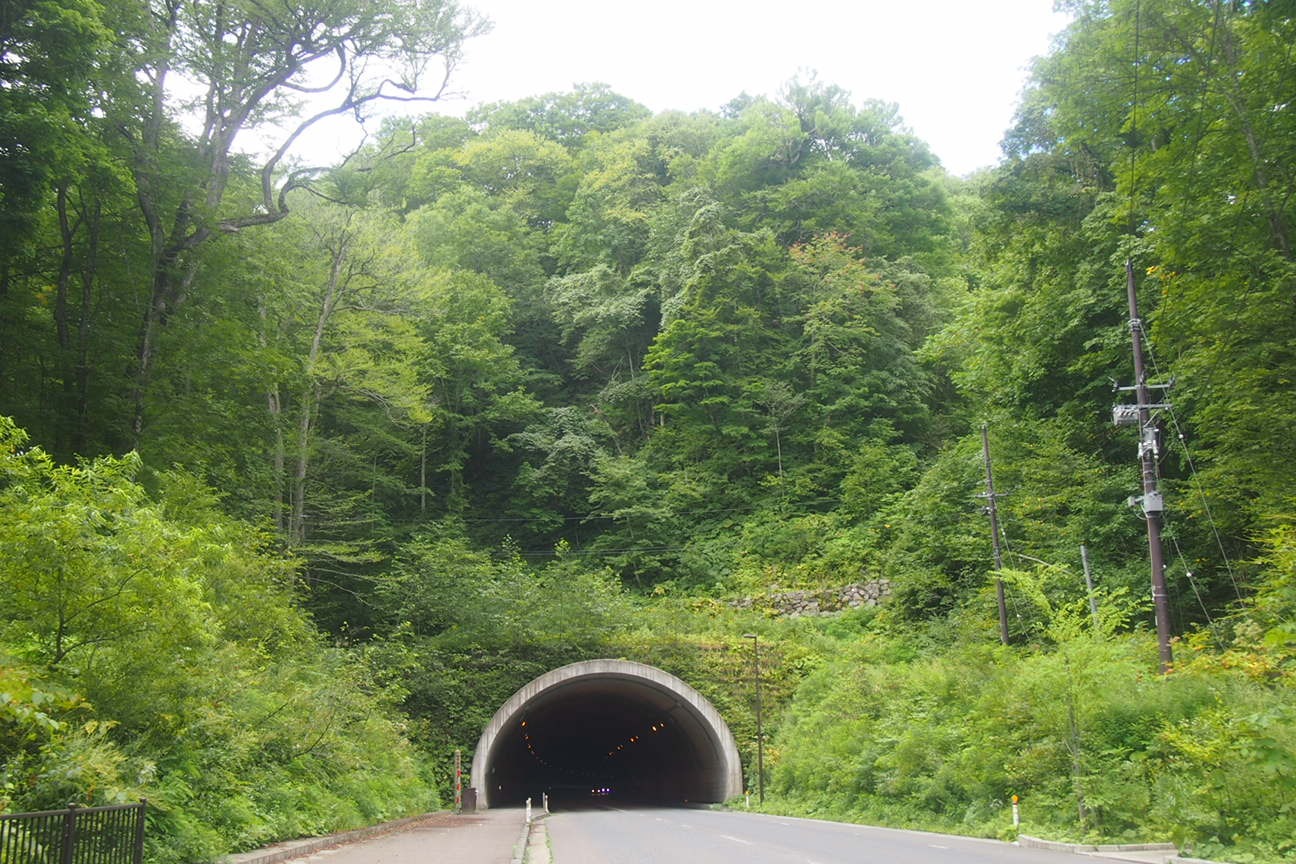 Звездочет, Зона Цунами