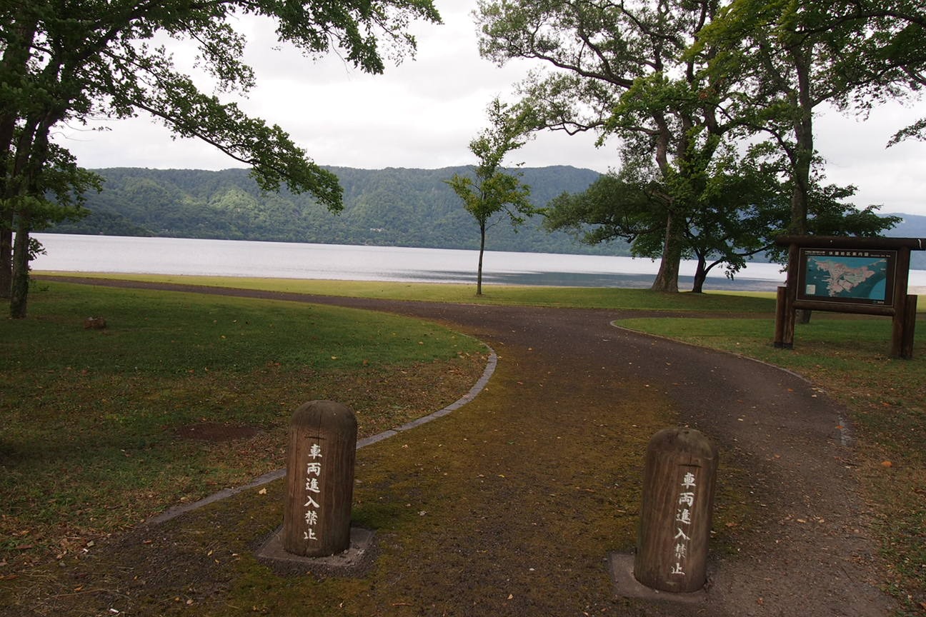 Звездочет, Зона Цунами