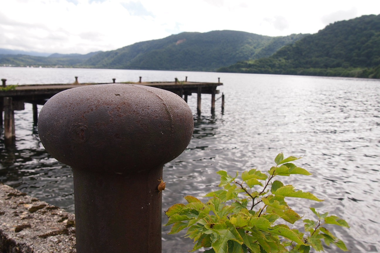 Звездочет, Зона Цунами