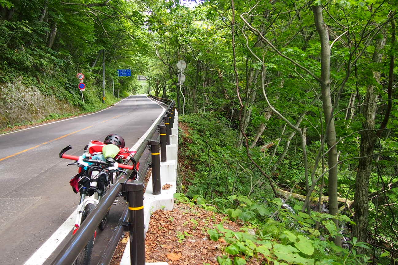 Звездочет, Зона Цунами