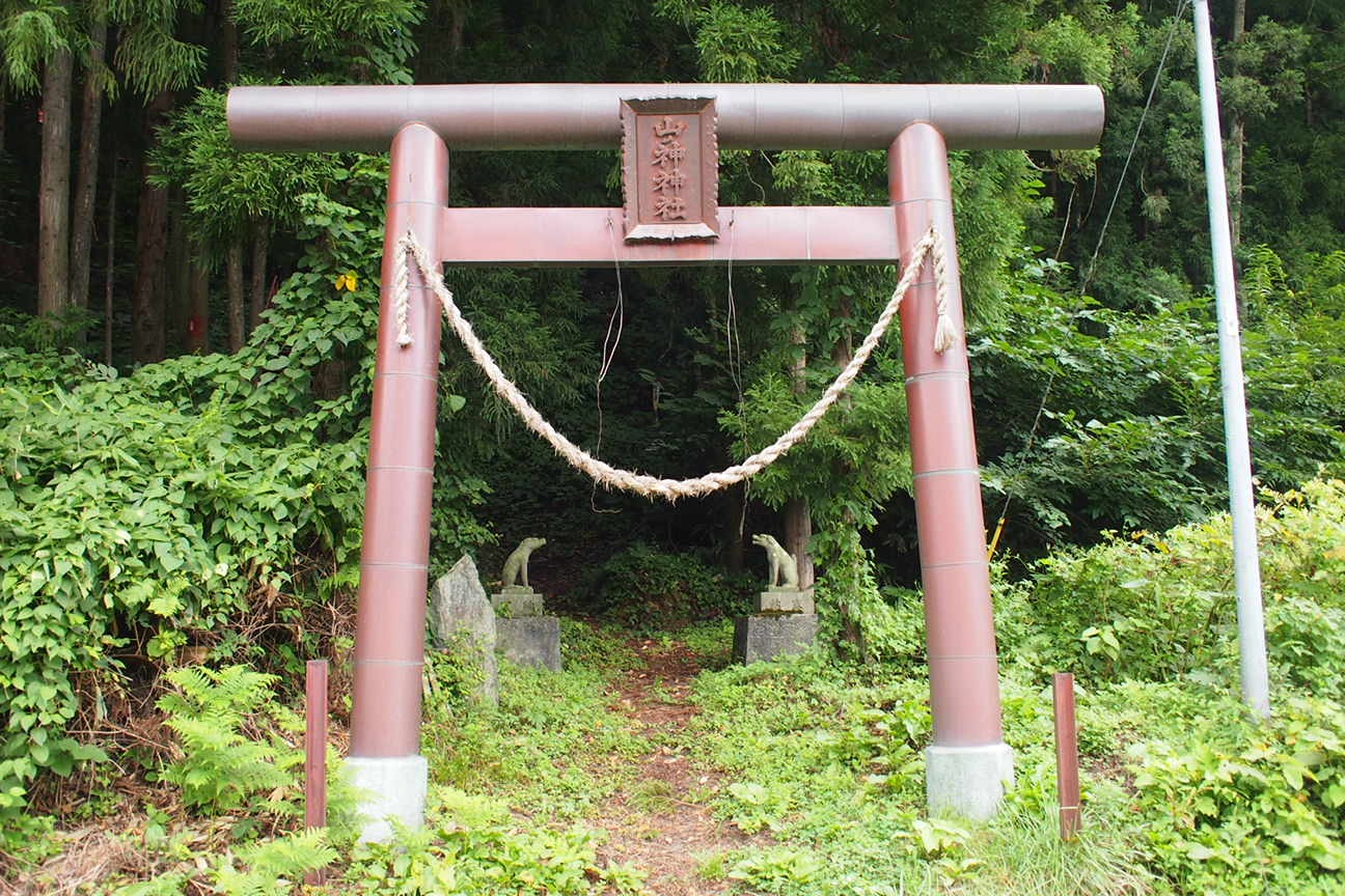 Звездочет, Зона Цунами