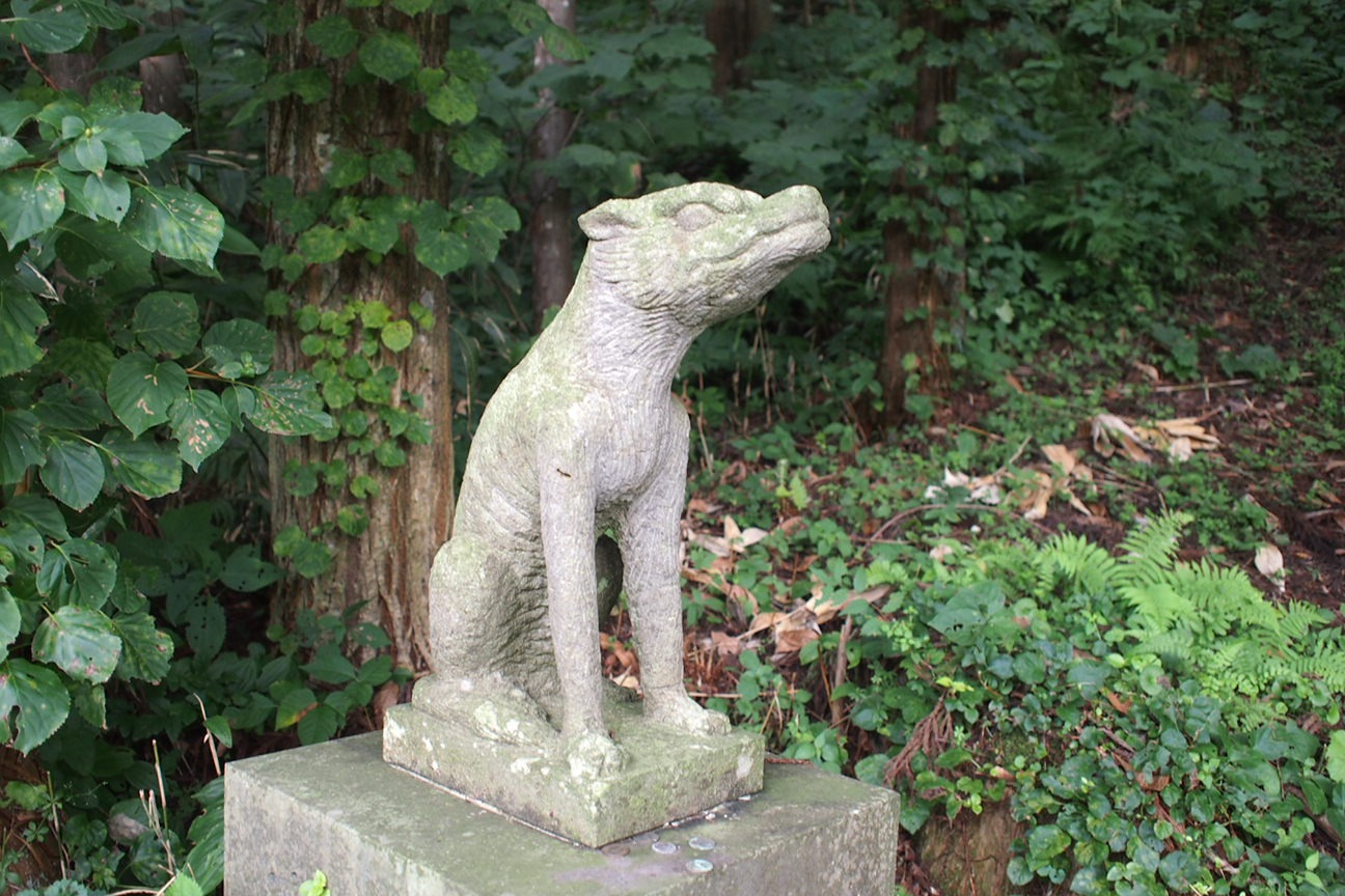 Звездочет, Зона Цунами