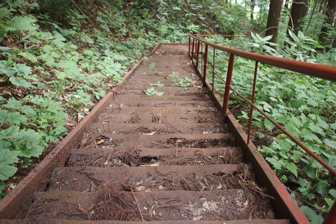 Звездочет, Зона Цунами