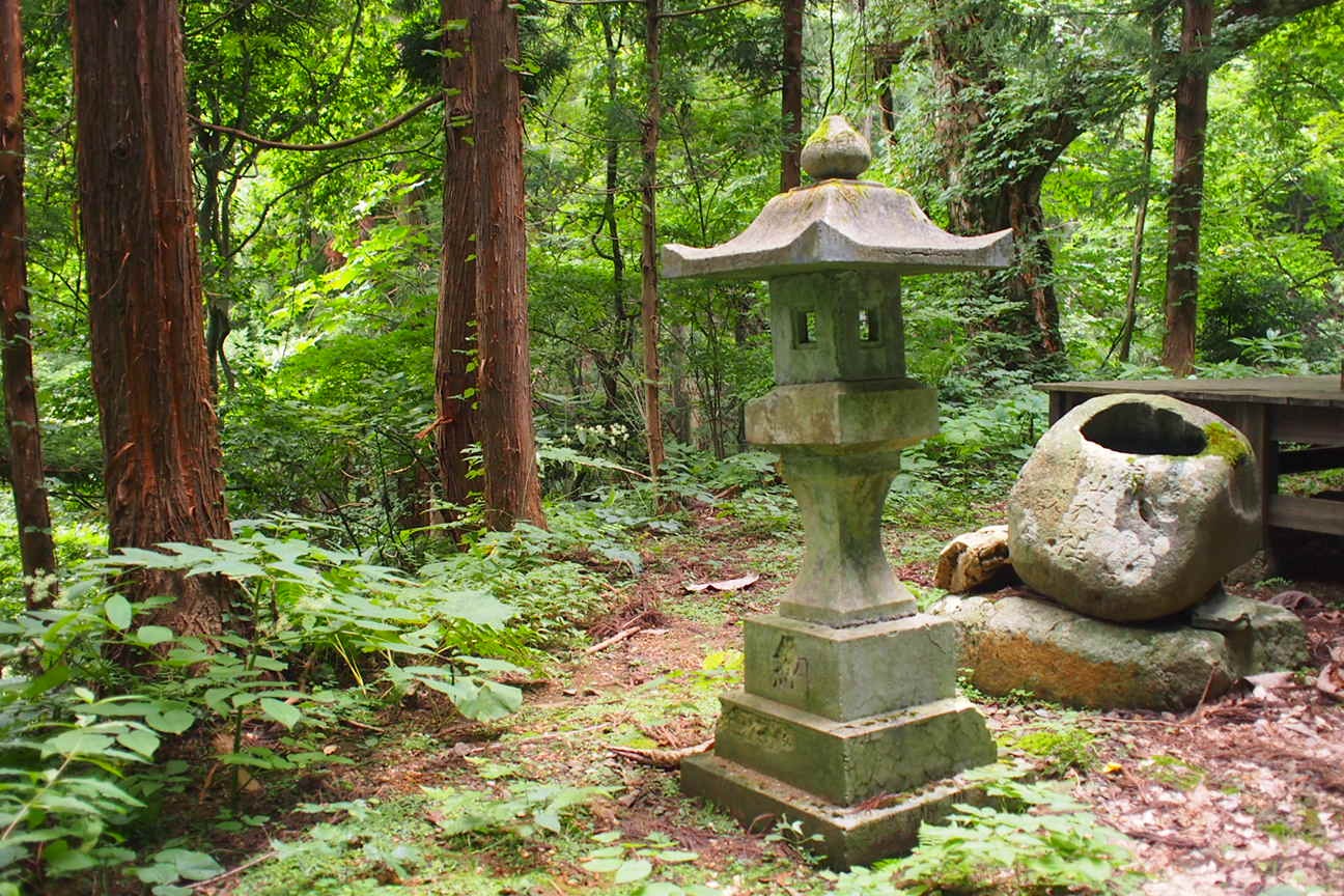 Звездочет, Зона Цунами